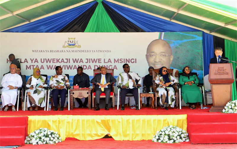 坦桑尼亚桑给巴尔总统姆维尼：期待2024年中非合作论坛峰会带来更多发展机遇(图2)