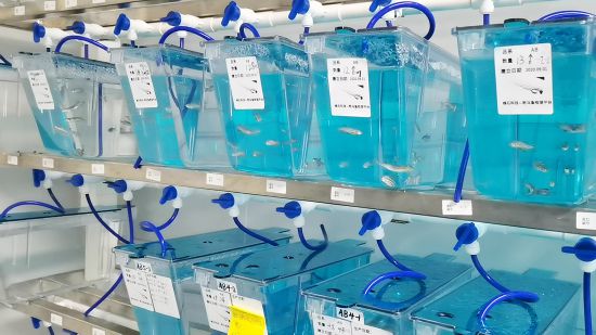 长春维石：9博体育擎动生物医药实验技术赛道(图4)