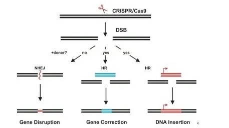 9博体育展望2021年生物制药发展的7大走势(图4)
