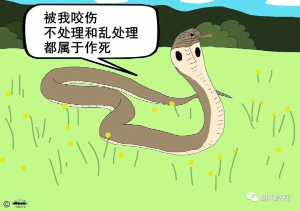 男子睡9博体育梦中感觉自己被咬了一口醒来一看还真有伤口连忙查监控(图2)