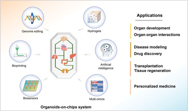 2024生物医药技术趋势展望：底层技术、临床试验、产业化三大脉络并进拥抱未来健康新征程(图2)