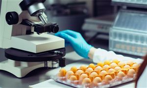 9博中国体育2024年中国生物医药行业未来发展趋势及市场规模分析(图8)