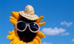 2024年生物制药行业的发展现状及竞争格局分析(图5)